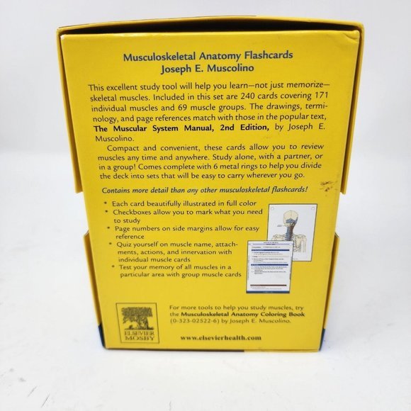 Musculoskeletal Anatomy by Joseph E. Muscolino 2005 Flash Cards - Picture 2 of 10